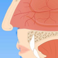 Understanding Nasal Congestion and Runny Nose